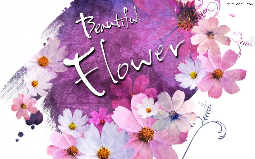 浪漫简约花朵信纸图片