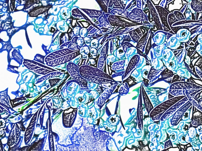 复杂有规律的花纹背景图片