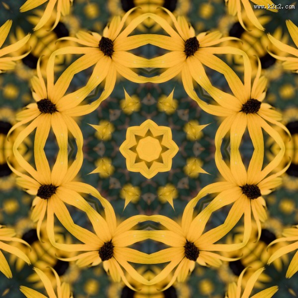 万花筒花纹背景图片