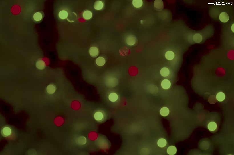 闪亮的光圈背景图片