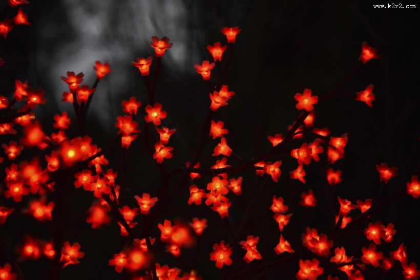 闪亮的光圈背景图片