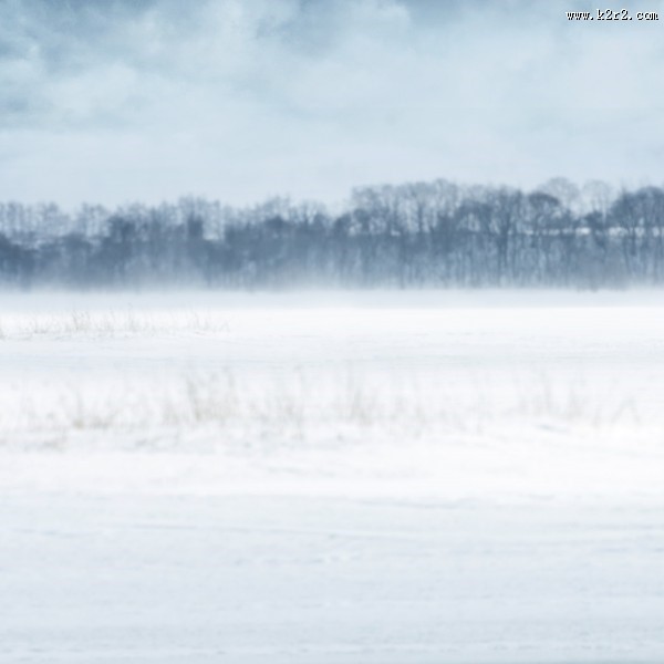 影楼婚纱照背景大图（二）