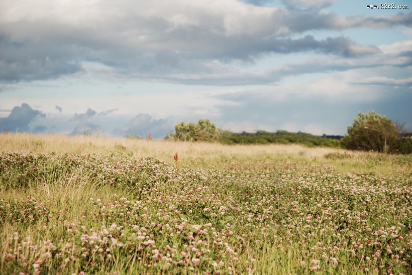 影楼婚纱照背景大图（二）