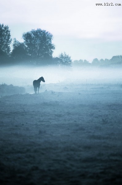 影楼婚纱照背景大图（二）