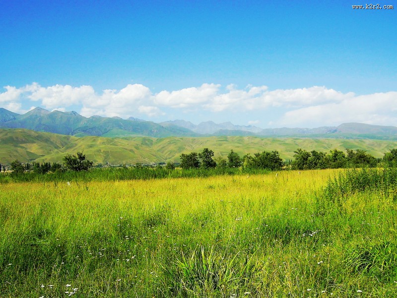 影楼奇幻摄影背景图片