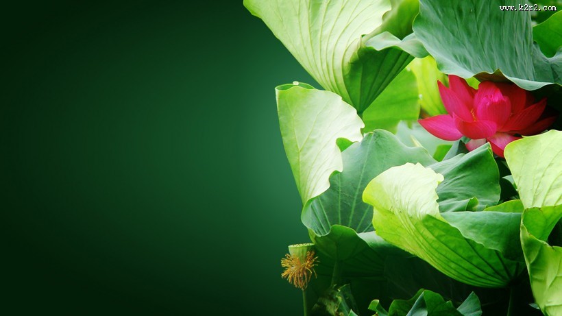 唯美风景背景素材图片