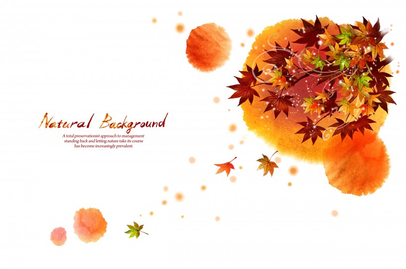 韩国时尚花纹图片大全