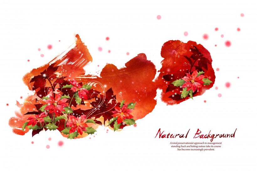 韩国时尚花纹图片大全