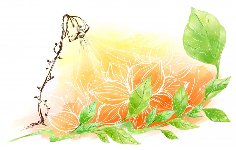 手绘花朵背景插画图片