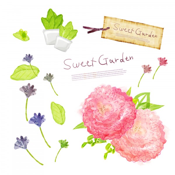 韩国手绘水彩花朵素材图片大全