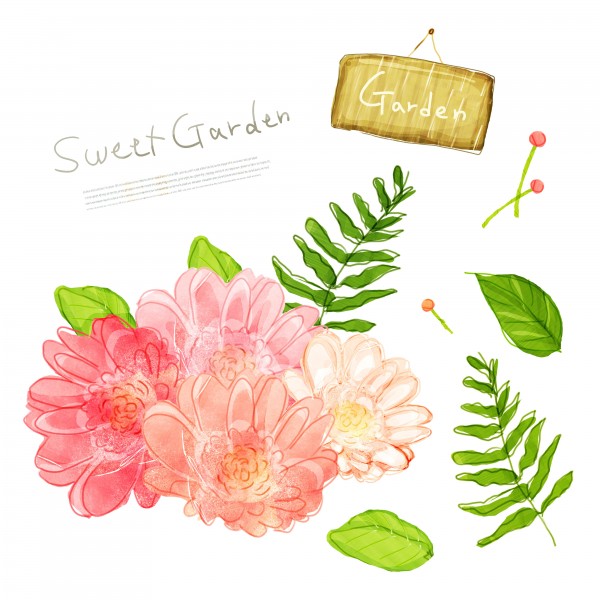 韩国手绘水彩花朵素材图片大全