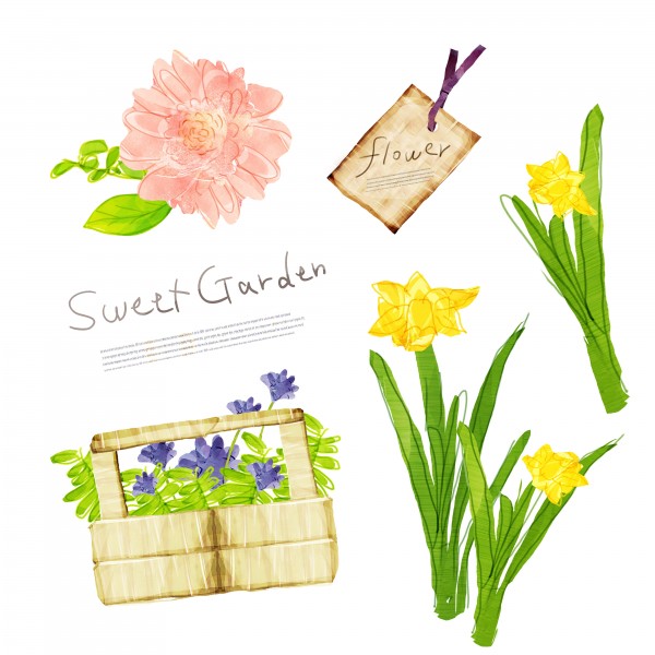 韩国手绘水彩花朵素材图片大全