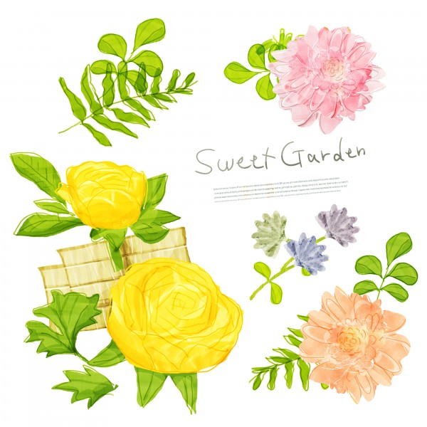 韩国手绘水彩花朵素材图片大全