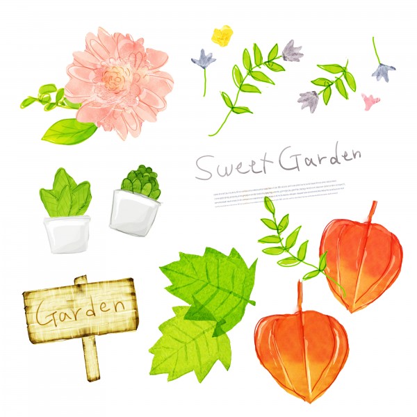 韩国手绘水彩花朵素材图片大全