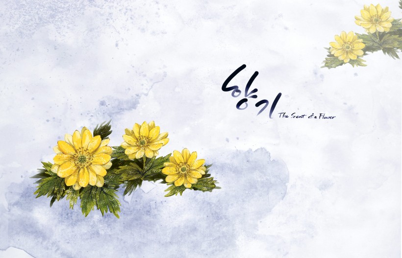 明亮黄色韩国花朵背景图片大全