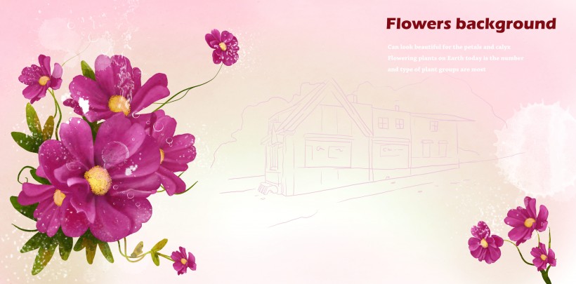 粉红色系手绘花朵明信片图片大全