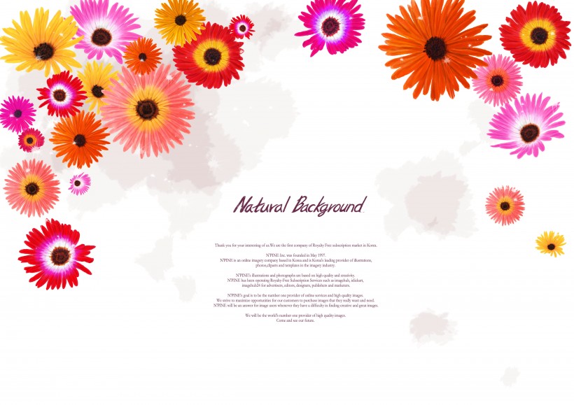 热情红色韩国花朵背景图片