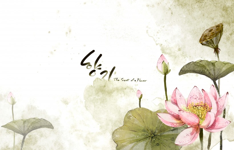 温馨粉色韩国花朵背景图片大全