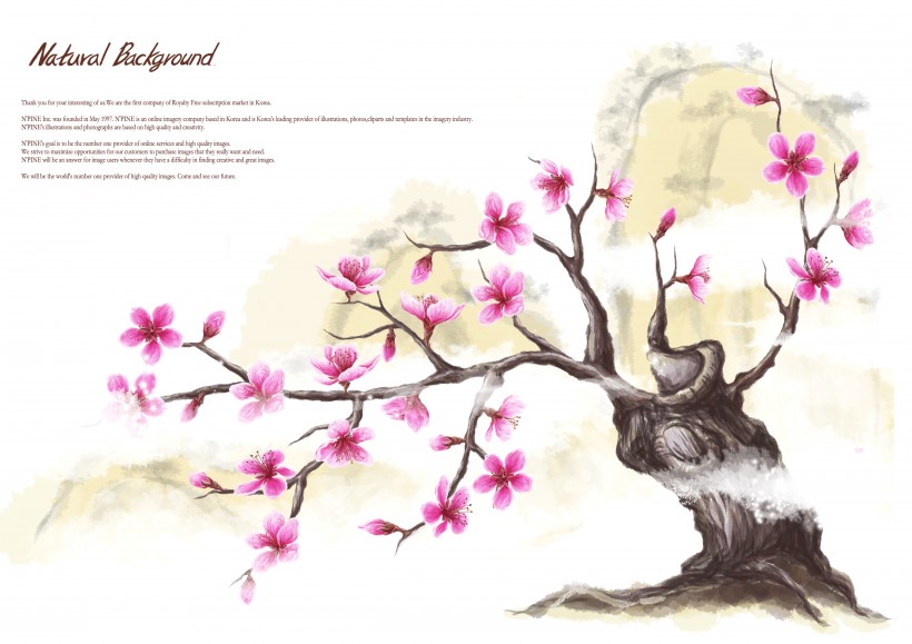 温馨粉色韩国花朵背景图片大全