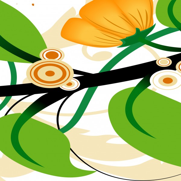 黄色花朵三联画挂画图片