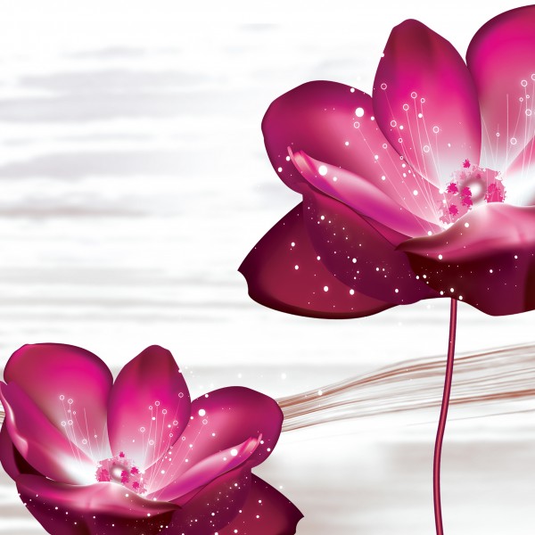 粉色花朵三联画图片