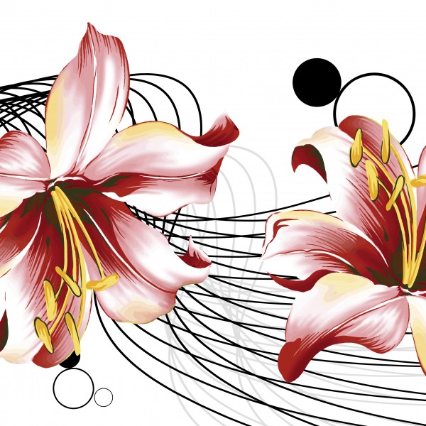 百合花三联挂画图片大全