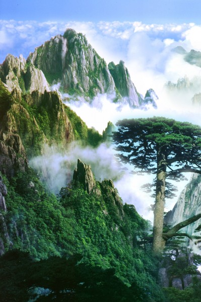 大好河山风景三联画图片