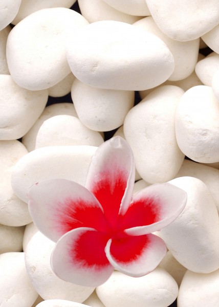 石头意境三联画图片