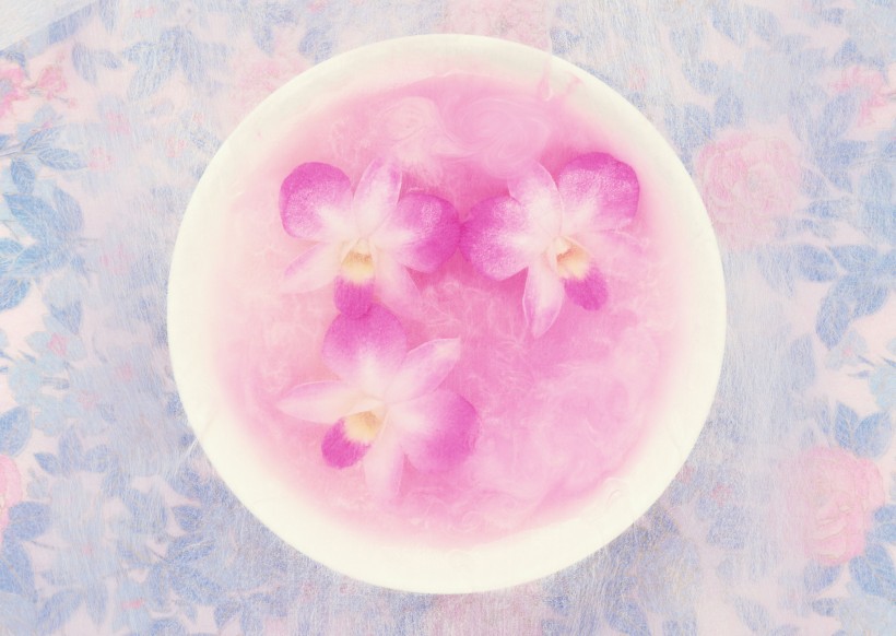 温馨粉色花朵图片