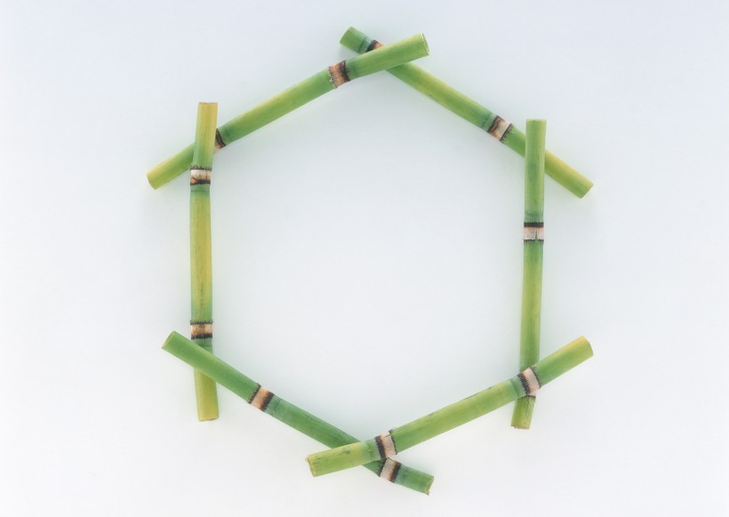 树叶、树枝绿色植物边框图片