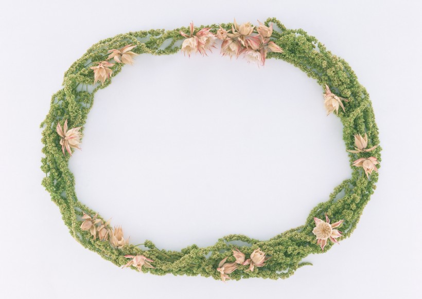 树叶、树枝绿色植物边框图片