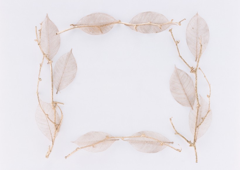 树叶、树枝绿色植物边框图片