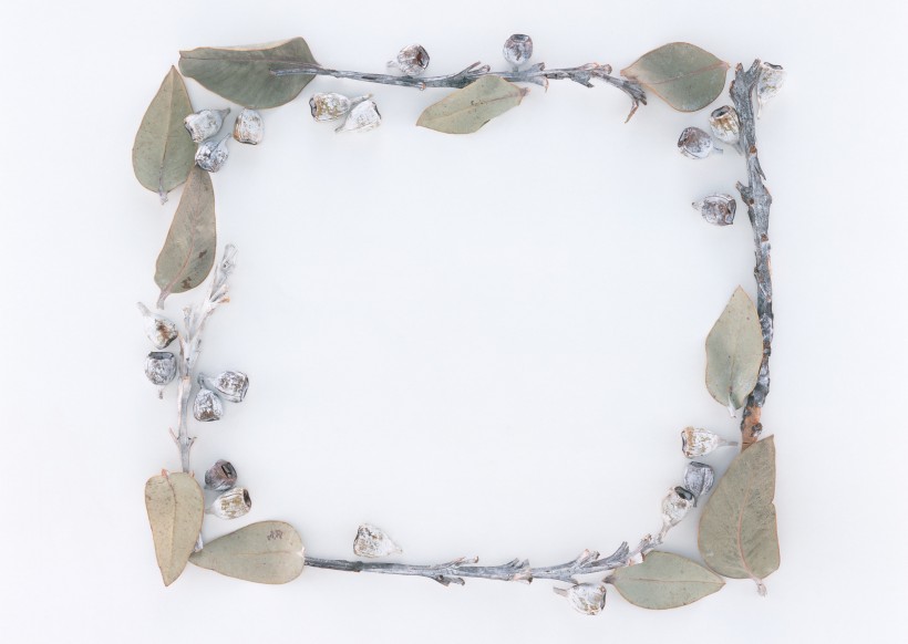 树叶、树枝绿色植物边框图片