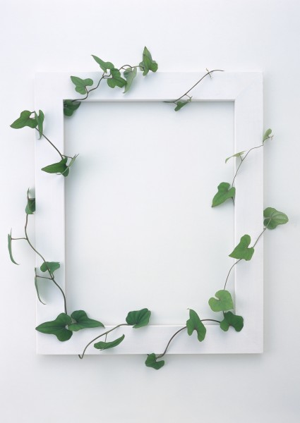 白色画框和绿树叶图片