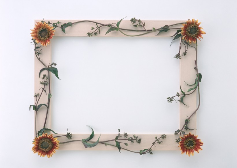 木质边框与花草图片