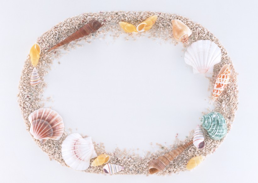 海洋气息贝壳石头边框图片