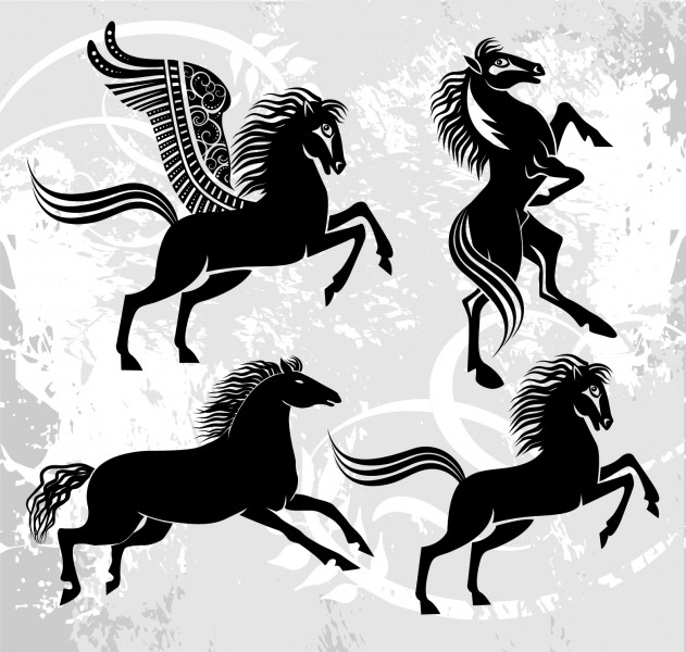 马的剪影与插画图片