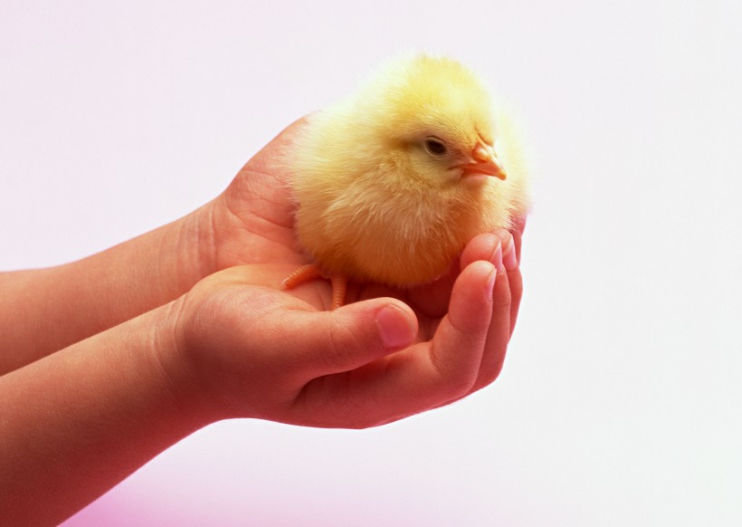 爱护地球爱护生命图片