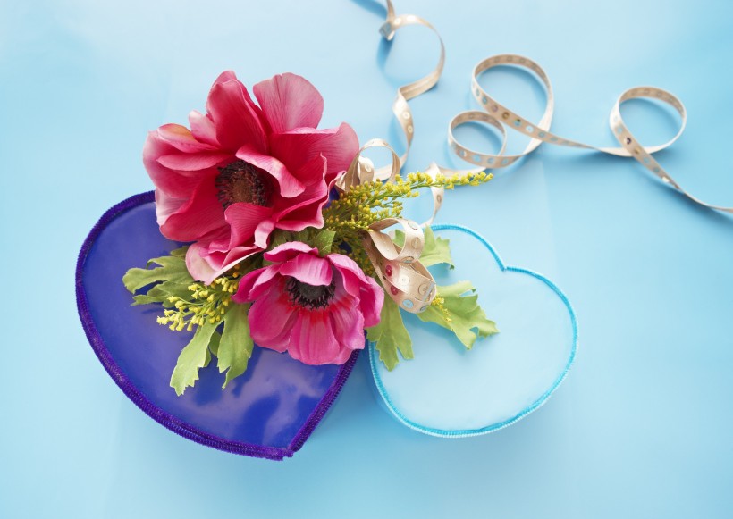 春季花朵素材图片