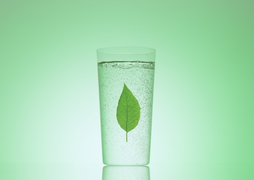 绿色、生命和水图片