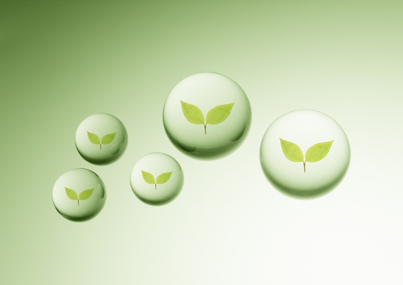 绿色、生命和水图片