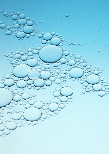 气泡和树叶图片