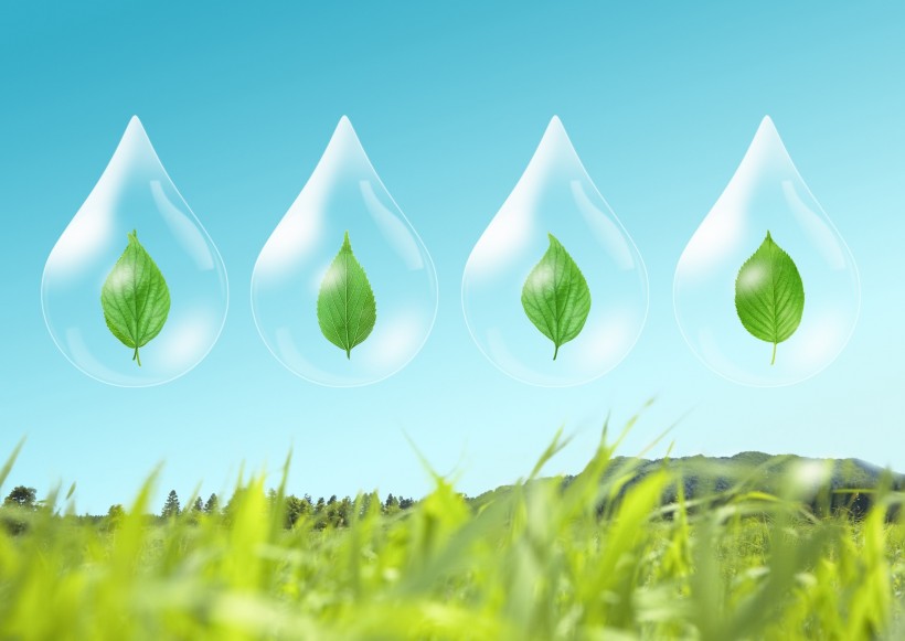 绿色生活和水图片