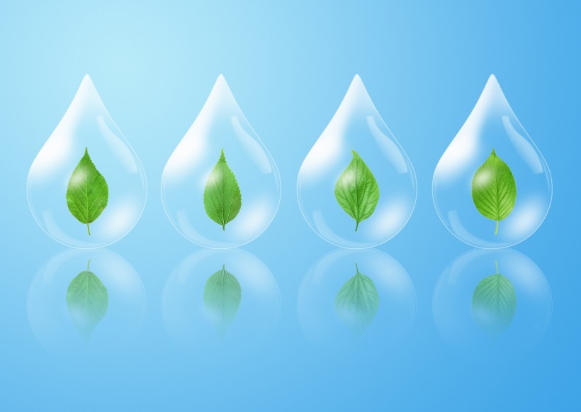 绿色生活和水图片