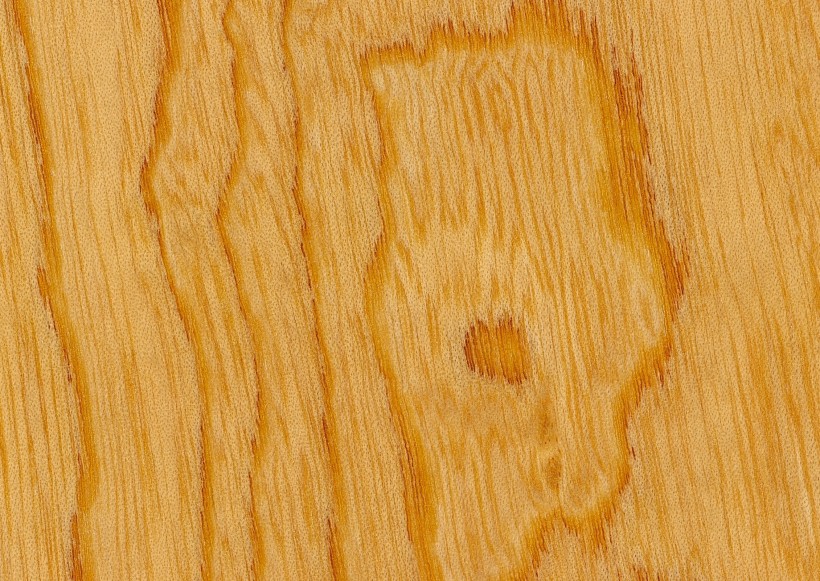 木质花纹图片大全