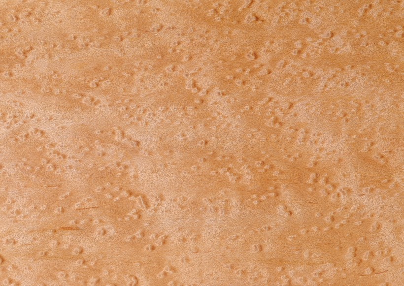 树木粗糙纹理图片