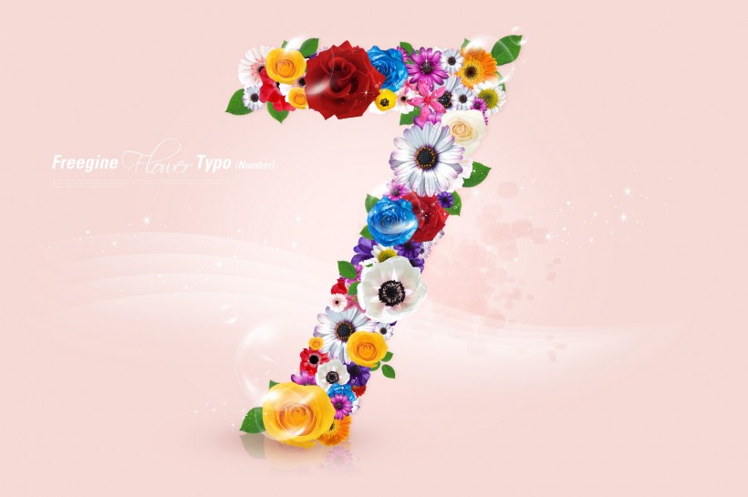 数字花图片