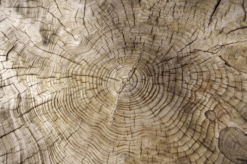 木纹背景图片