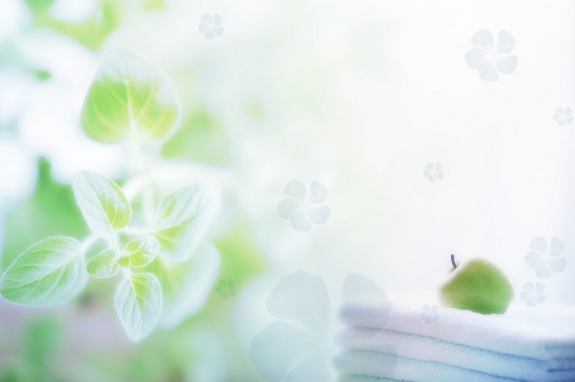 水疗SPA背景图片