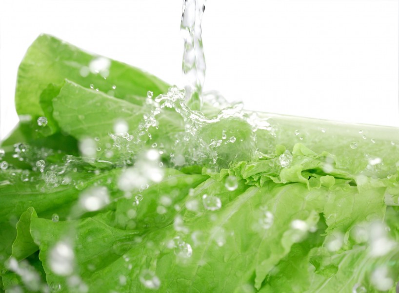 晶莹水珠图片大全